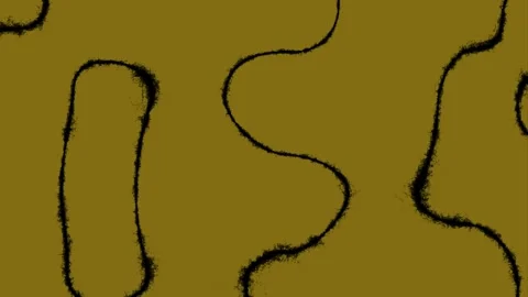 Abstract flowing black lines on a textured golden background 库存影片 342076624