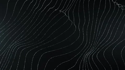 Abstract flowing contour lines on a dark background forming smooth wave patte Vidéo 331513804