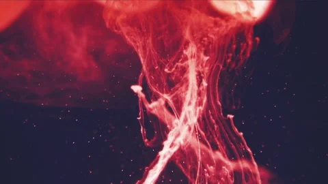 Abstract flowing energy waves in vibrant red tones. Dynamic particle motion with 库存影片 340456421