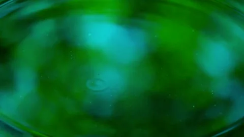 Abstract flowing light particles in motion. Dynamic neon green bokeh background  库存影片 340456454