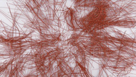 Abstract Flowing Lines, 3d Animation 4k Stock Footage 100156006