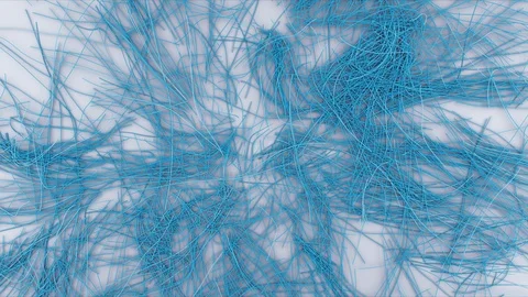 Abstract Flowing Lines, 3d Animation 4k Stock Footage 100156020