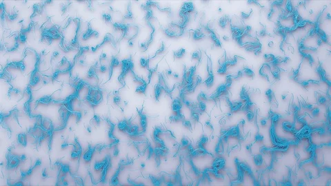 Abstract Flowing Lines, 3d Animation 4k Stock Footage 100158582