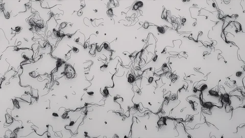 Abstract Flowing Lines, 3d Animation 4k Stock Footage 100158583