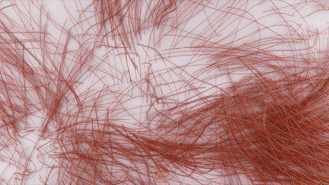 Abstract Flowing Lines, 3d Animation 4k Stock Footage 100403511