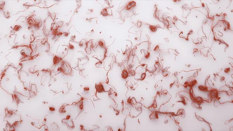 Abstract Flowing Lines, 3d Animation 4k Stock Footage 100403724