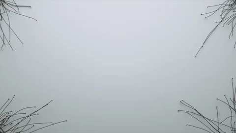 Abstract Flowing Lines, 3d Animation 4k Stock Footage 100983577