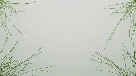 Abstract Flowing Lines, 3d Animation 4k Stock Footage 100983704