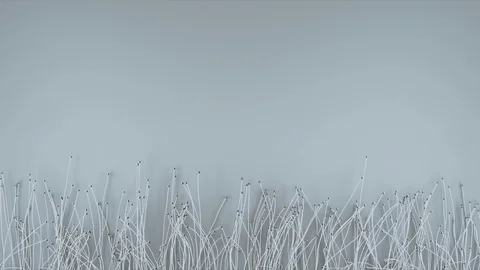 Abstract Flowing Lines, 3d Animation 4k Stock Footage 100983739