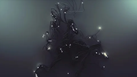 Abstract Flowing Lines, 3d Animation 4k Vidéo 101113036