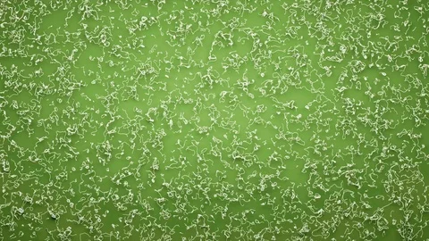 Abstract Flowing Lines, 3d Animation 4k Stock Footage 101119709