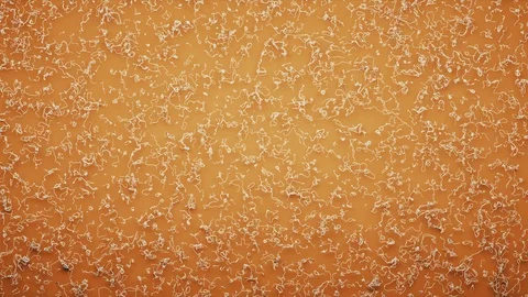 Abstract Flowing Lines, 3d Animation 4k Stock Footage 101119760