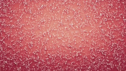 Abstract Flowing Lines, 3d Animation 4k Video stock 101120202