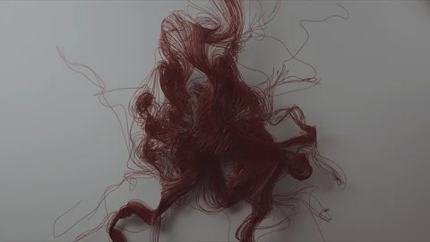 Abstract Flowing Lines, 3d Animation 4k Stock Footage 101196065