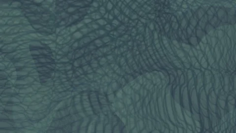 Abstract flowing lines and waves animated background loop Video stock 343134731