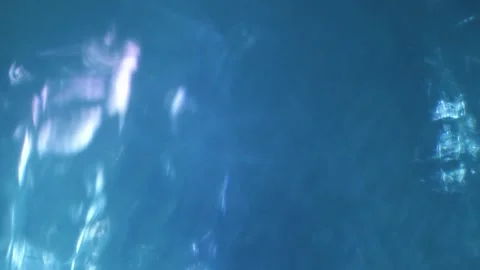 Abstract flowing liquid waves in motion. Dynamic blue fluid texture with organic 库存影片 340450382