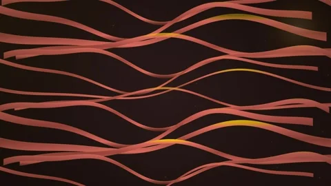Abstract flowing orange waves lines background for modern motion design Stock Footage 344516733