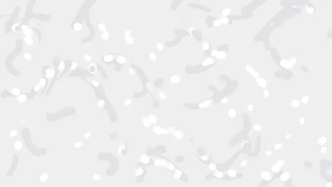 Abstract flowing particles motion background loop with light gray organic s.. Stock Footage 341907898