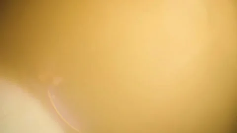 Abstract flowing particles in vibrant gradient motion. Dynamic digital backdrop  Stock-Footage 340456503