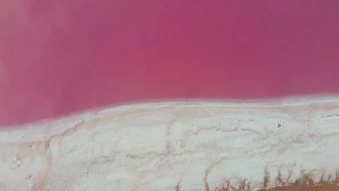 Abstract flowing particles on vibrant gradient background. Smooth animated motio Stock Footage 340456730