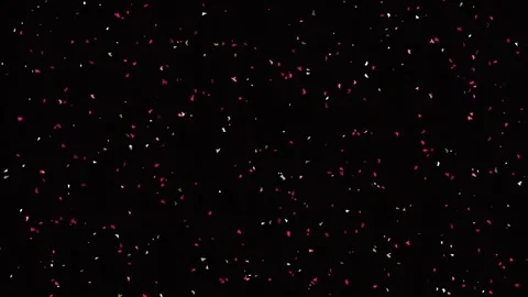 Abstract flowing red particle effects of glowing magic dust against deep blac Stock Footage 342203777