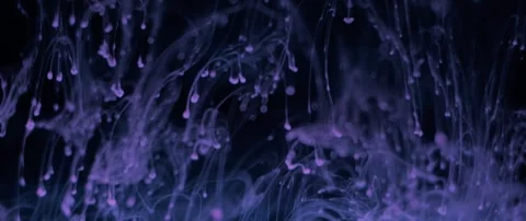Abstract flowing smoke waves in deep purple and blue hues. Dynamic particle moti Video stock 340456884