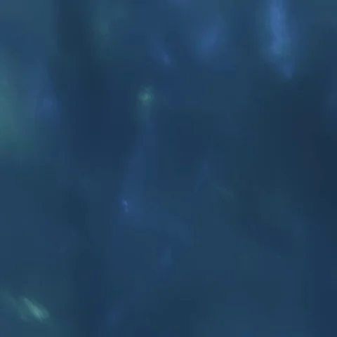 Abstract flowing tinsels Stock Footage 69303970