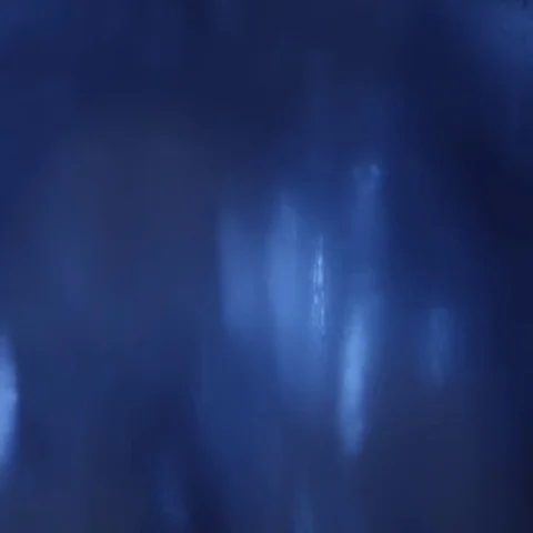 Abstract flowing tinsels Stock Footage 69305465