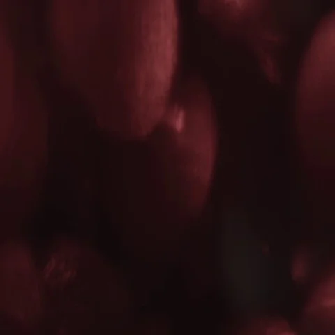 Abstract flowing tinsels Stock Footage 69305508