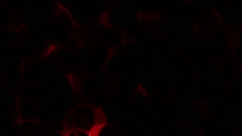  Abstract Flowing Water Animation.  Stock Footage 222769856