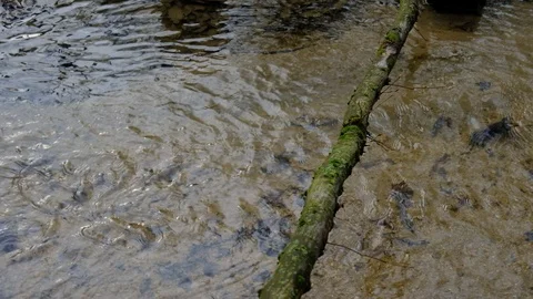 Abstract Flowing Water Background, Loopable Stock Footage 121753014