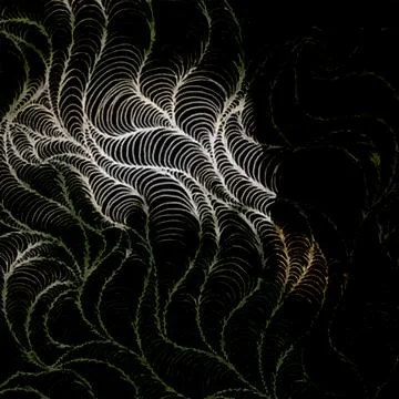 Abstract flowing wave pattern with intricate white and green line art resembling 库存插图