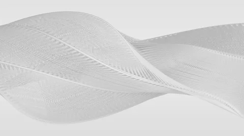 Abstract flowing white lines create curved object (FULL HD) Video stock 64937748