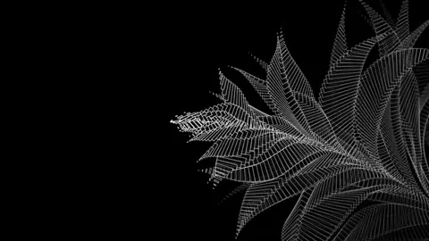 Abstract Flowing Wireframe Animation Vídeo Stock 333347702