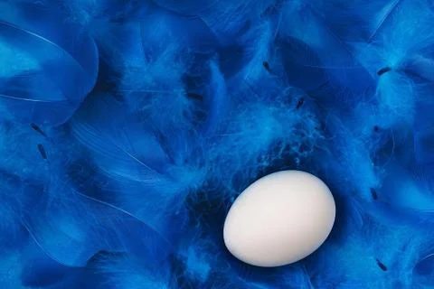 Abstract fluffy feathers Easter background in trendy blue color with white egg Stock Photos