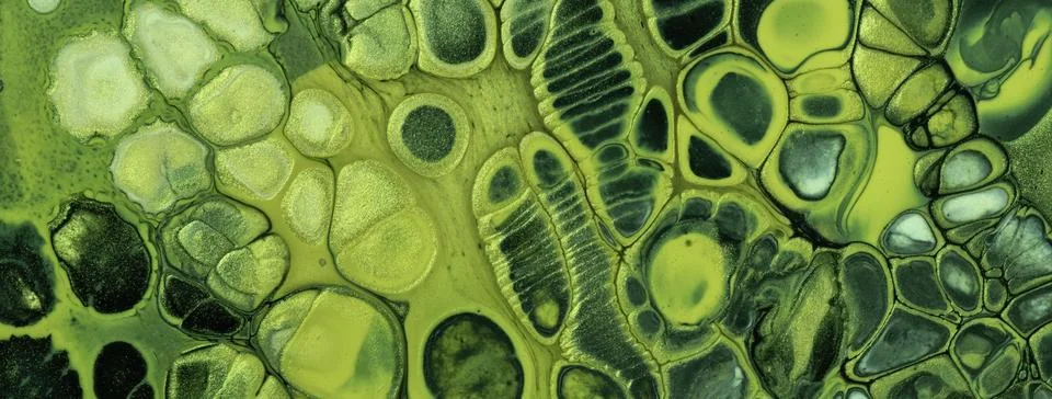Abstract fluid art background in black lime green tones with marble texture,  Stock Illustration