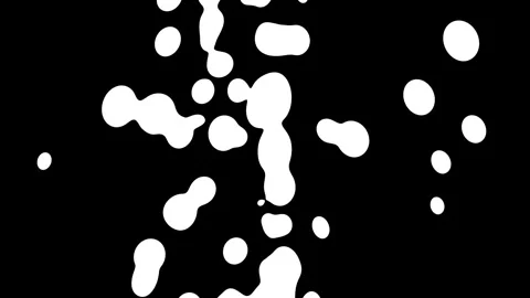 Abstract fluid blobs move and merge in dynamic motion on black background. Video stock 337805227