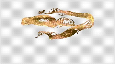 Abstract fluid flow isolated on black with alpha channel. Stock Footage 229558762