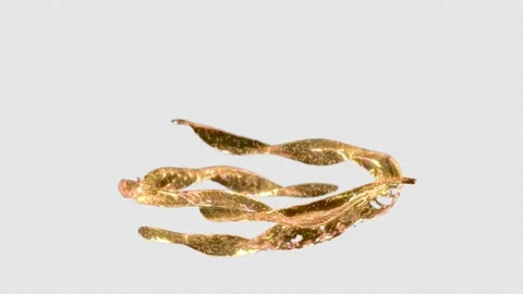 Abstract fluid flow isolated on black with alpha channel. Stock Footage 230465704