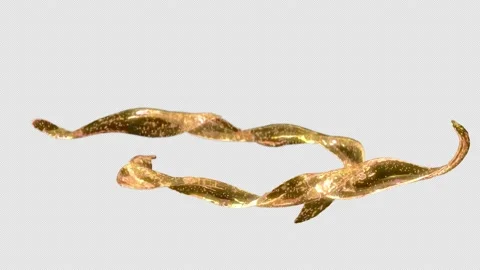 Abstract fluid flow isolated on black with alpha channel. Stock Footage 230644181