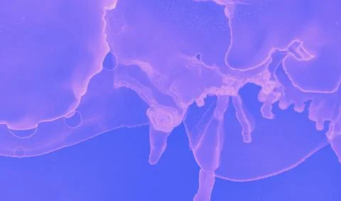 Abstract Fluid Gradient. Pink Futuristic Minimal Stock Illustration