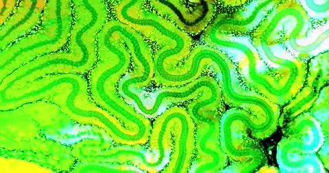 Abstract fluid marbling animation background Stock Footage 341402754