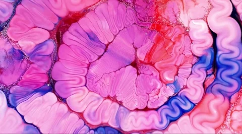 Abstract fluid marbling animation background 스톡 동영상 341546922