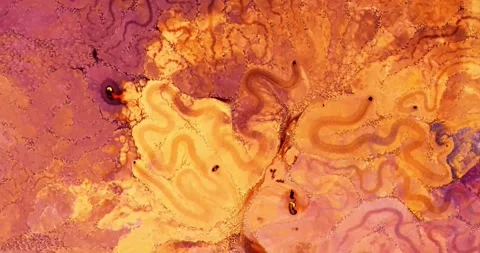 Abstract fluid marbling animation background 動画素材 341547215