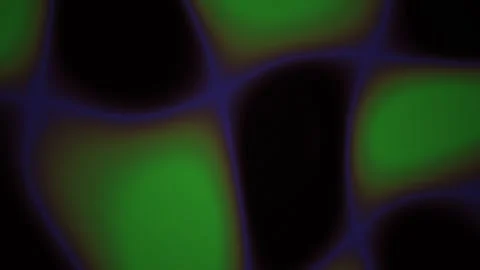 Abstract Fluorescence Microscopy View of Glowing Green Biological Cells. Video stock 345678834