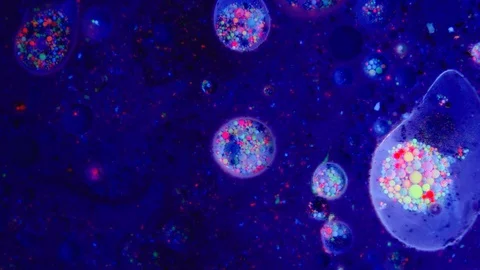 Abstract Fluorescent Ink Dots Stock Footage 113827434