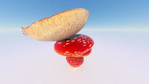 Abstract fly agaric with five caps rotates counterclockwise against a blue sky Stock Footage 149059149