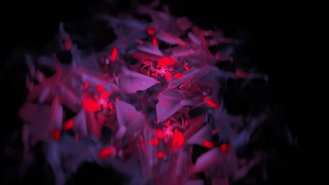 Abstract flying blurred red and purple shapes Stock Footage 161084215