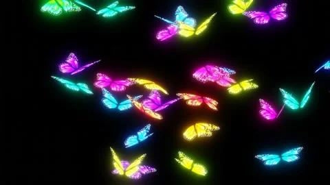 Abstract Flying Butterflies Front View Stock Footage 220797157