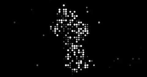 Abstract Flying Dots Build Generative Guyana Contour Animation Stock Footage 317047891